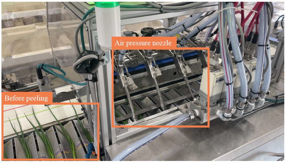 エッジ検出による小ねぎ分岐部検出